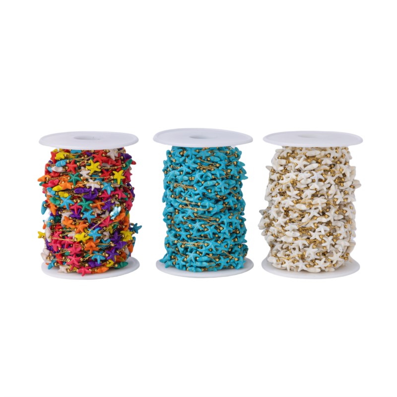 1Meter Rvs Zeester Turquoise K - Pearl Trim Chain recensie en prijs