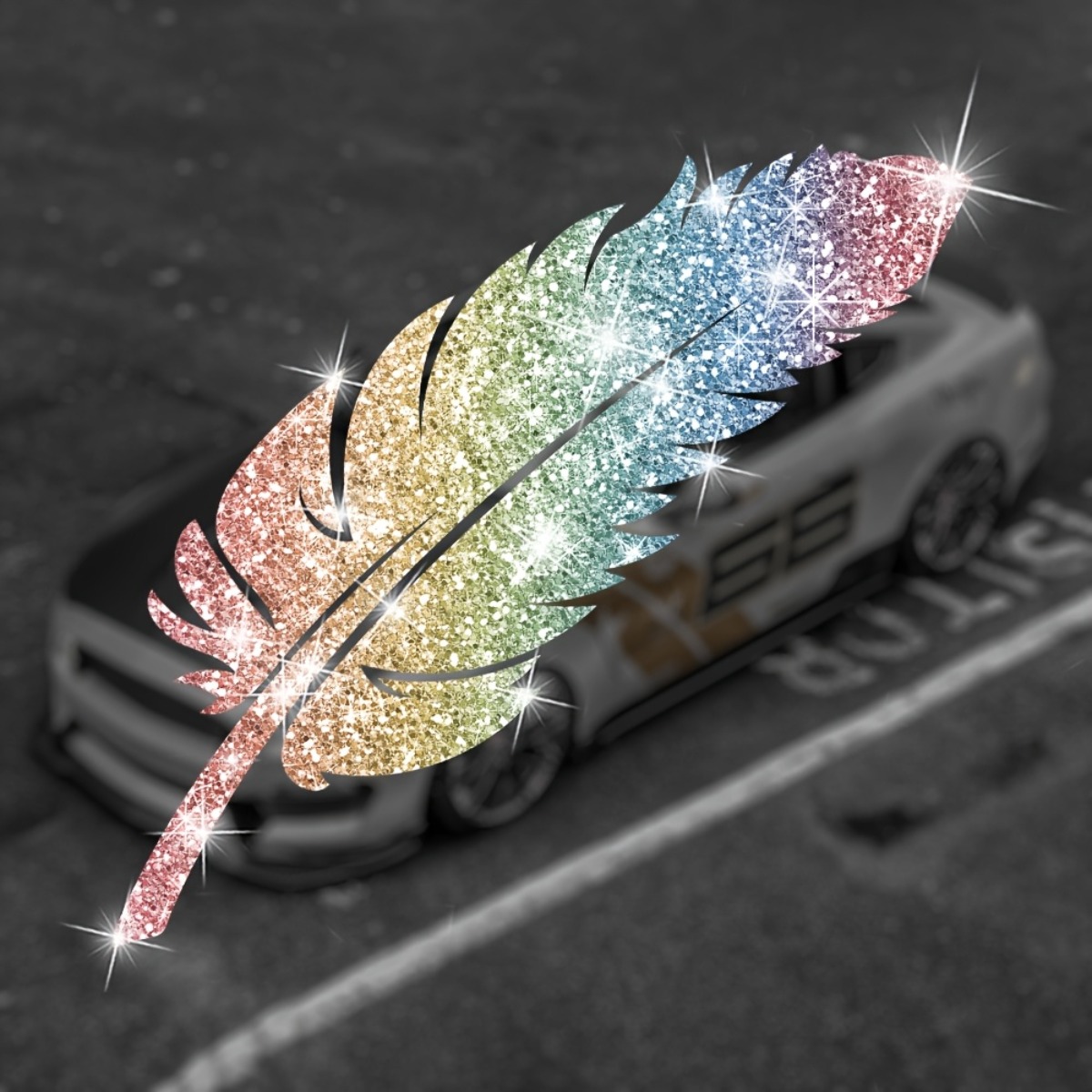 2 STUKS Glitter Feather motorf - Glitter Vinyl Roll recensie en prijs